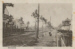 vk1918.jpg